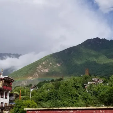 Dan valley of padang female 1 yard