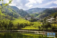 OYO Quzhou Zhenxing Hotel