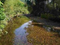 莫干山静山居客栈 - 酒店附近