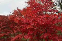 Guangwushan Mingyang Building