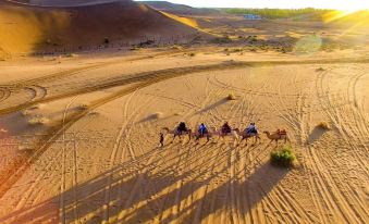 Little Camel Desert Camping