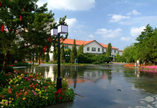 Xincheng Hotel Inner Mongolia Hotel Overview