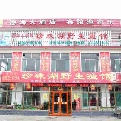 Dehai Hotel Hotel Exterior