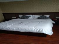 自贡盐运商务酒店 - 豪华大床房