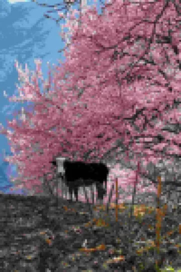 Fengzaijiaju Jingsu Shufang Hotel