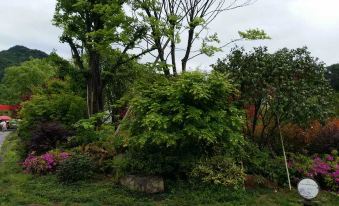 Pujiang Xinguang Double Well House