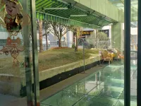 Diannan Hotel Hotels in Tonghai