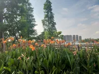 Phoenix Hotel Zhongshan Oriental (Zhongshan Dengdu Ancient Town Huayi Square)