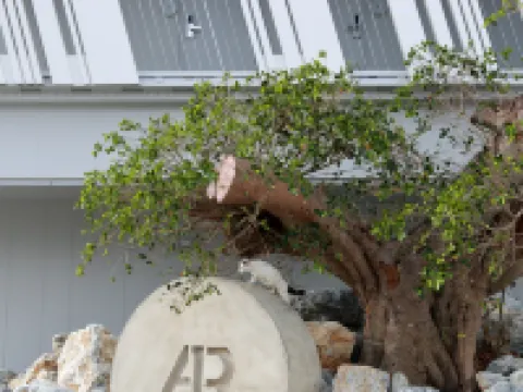 ホテルアンテルーム那覇 那覇のホテル