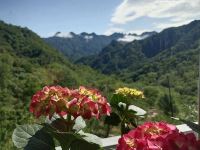 北京花草香农家院 - 其他