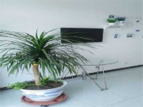 北京幽谷神潭立春农家院 - 其他