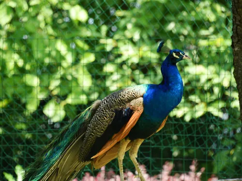 Shangri-La Guilin Общественные зоны Photos