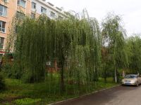 长春翔云旅店 - 酒店附近