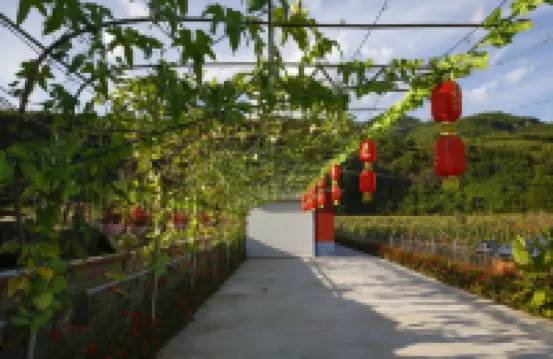 Wangjia Dayuan Homestay