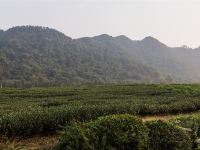 杭州如果小院 - 酒店附近