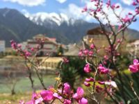 林芝平措康桑藏泊花园酒店 - 公共区域