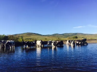 Jianghe Qiji Hotel Hotel dekat Hawu'er River Scenic Area