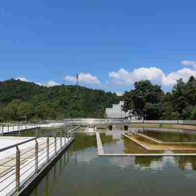 郴州龍女花園酒店 Hotel Exterior