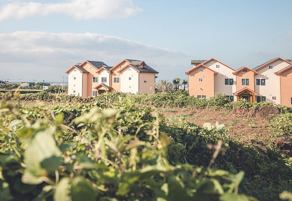 제주 숙소 내부