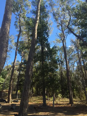 Spa Suites at Raven Отели в г. Яндойт