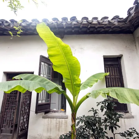 Xiaoya Youth Hostel