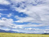 Mubaike Business Hotel Hotels in Menyuan