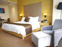 武汉莱斯国际酒店 - 高级湖景大床房