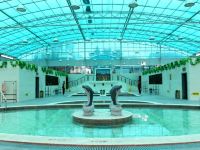 罗浮山会议中心 - 室内游泳池