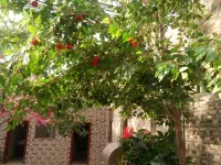 Shandan Muma Renjia Mountain Villa Hotels in Shandan