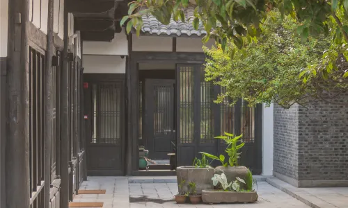 Blossom Hill Fairyland