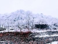 北京悠然山居别墅 - 花园