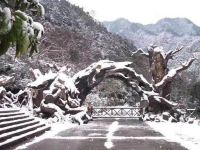 永嘉雅闲居民宿 - 酒店附近