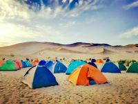敦煌国际沙漠露营基地 - 其他