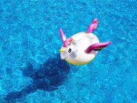 千岛湖喜来登度假酒店 - 室外游泳池