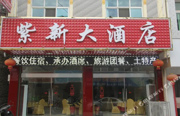 新化紫新大酒店