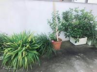象山新桥朋来客栈 - 公共区域