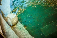 Xianning Chutian Yaochi Hot Spring Resort - Hot Springs