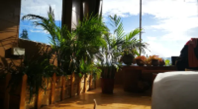 Yuanyang Green Hostel & Sunny Guesthouse