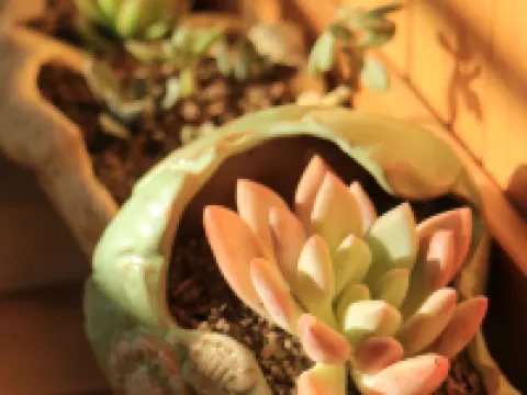 Wushe Folk Custom Inn Hotel a Zigui