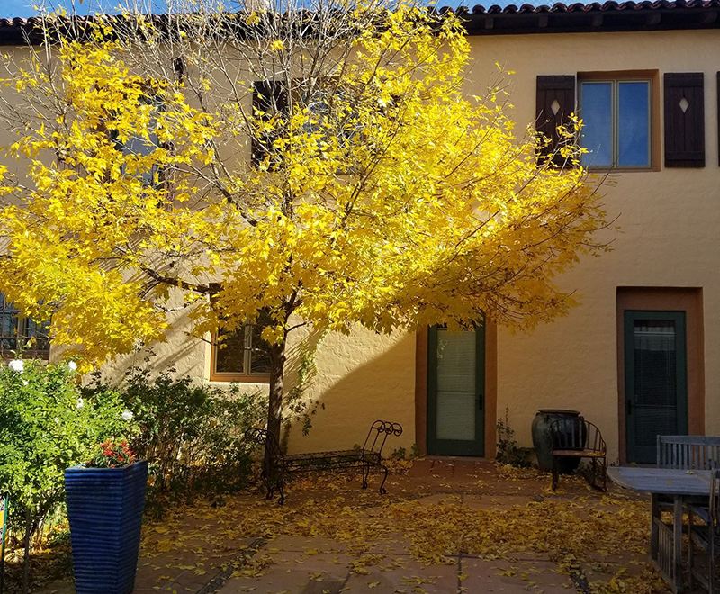 La Posada Hotel and Gardens - Housity