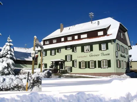 Landgasthof Grüner Baum Hotels in der Nähe von Grüner Baum Altensteig