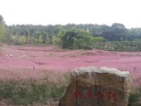 重庆青山小隐民宿 - 酒店附近