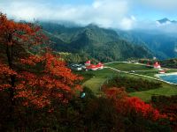 花水湾锦厢小筑公寓 - 酒店附近