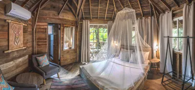 Socialtel Red Frog - Formerly Selina Red Frog Hotels in 