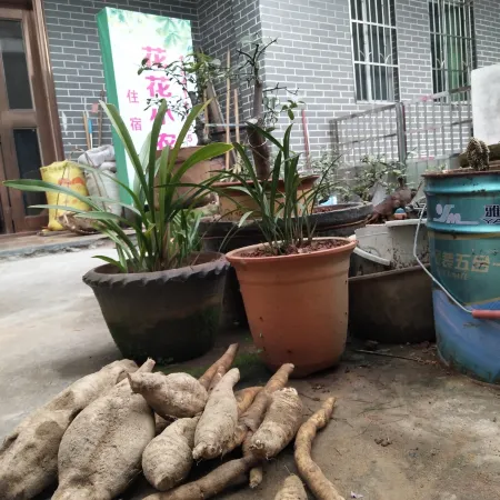 Huahua Farmhouse Danxia Mountain Отели в г. Женьхуа