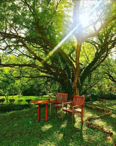 ホテル周辺 ソフィテル シンガポール セントーサ リゾート&スパ(ステイケーション可)の写真