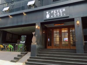 Petercat Hotel Shinchon