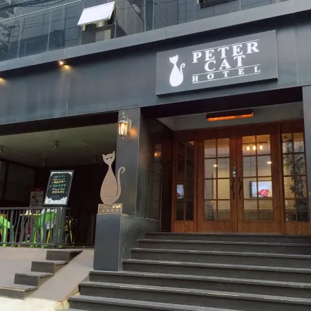 Petercat Hotel Shinchon