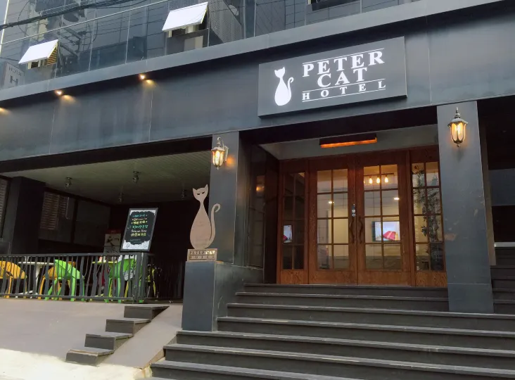 Petercat Hotel Shinchon