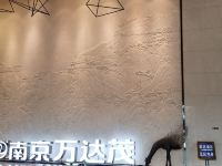 南京大蓝鲸公寓 - 其他